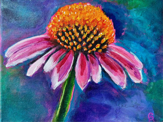 Echinacea